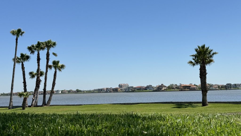 A serene lakeside view with clear blue sky and distant buildings.